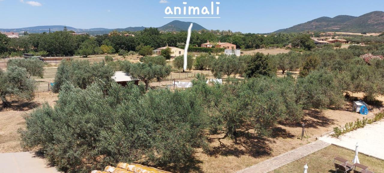 Villa Klinai Cerveteri Exteriér fotografie